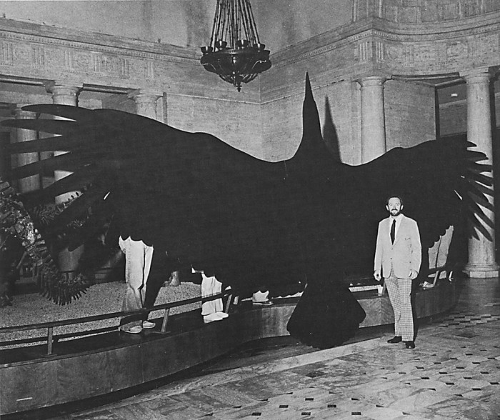 Топ-10 самых больших птиц в мире (+Фото)
