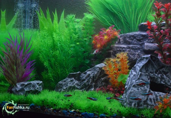 Искусственные растения для аквариума фото