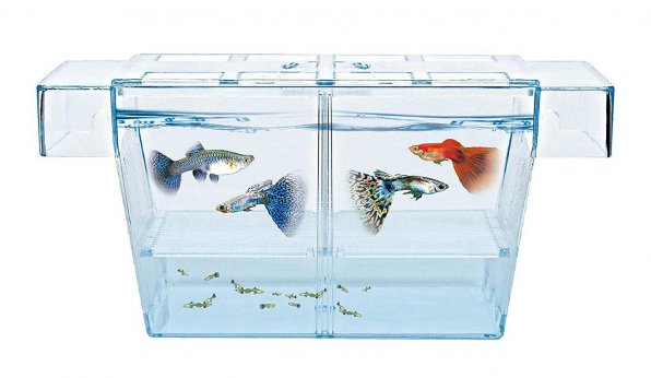 Нерестовик для живородящих рыбок