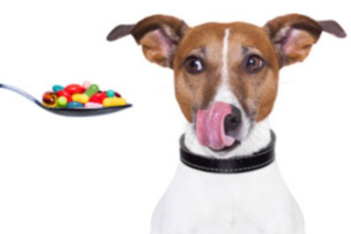 таблетки от глистов для собак дирофен