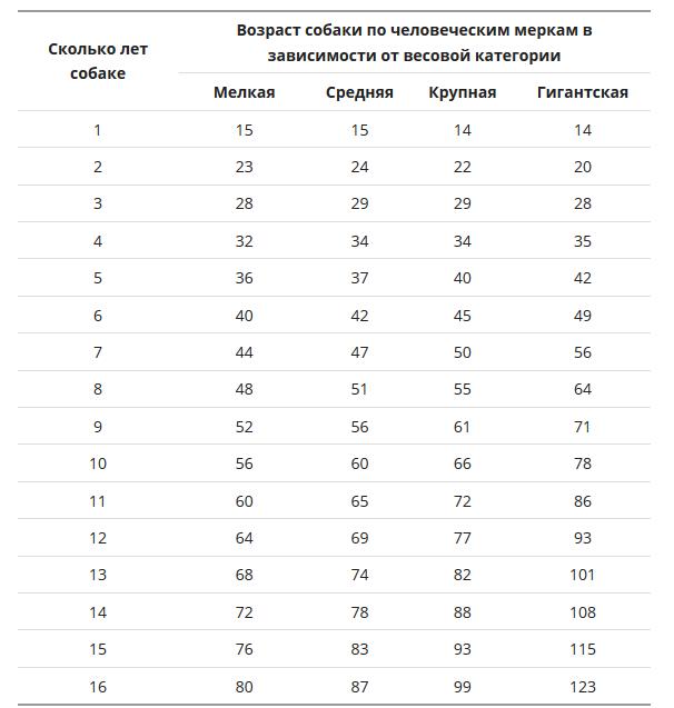 Сколько коту лет если ему 2 года