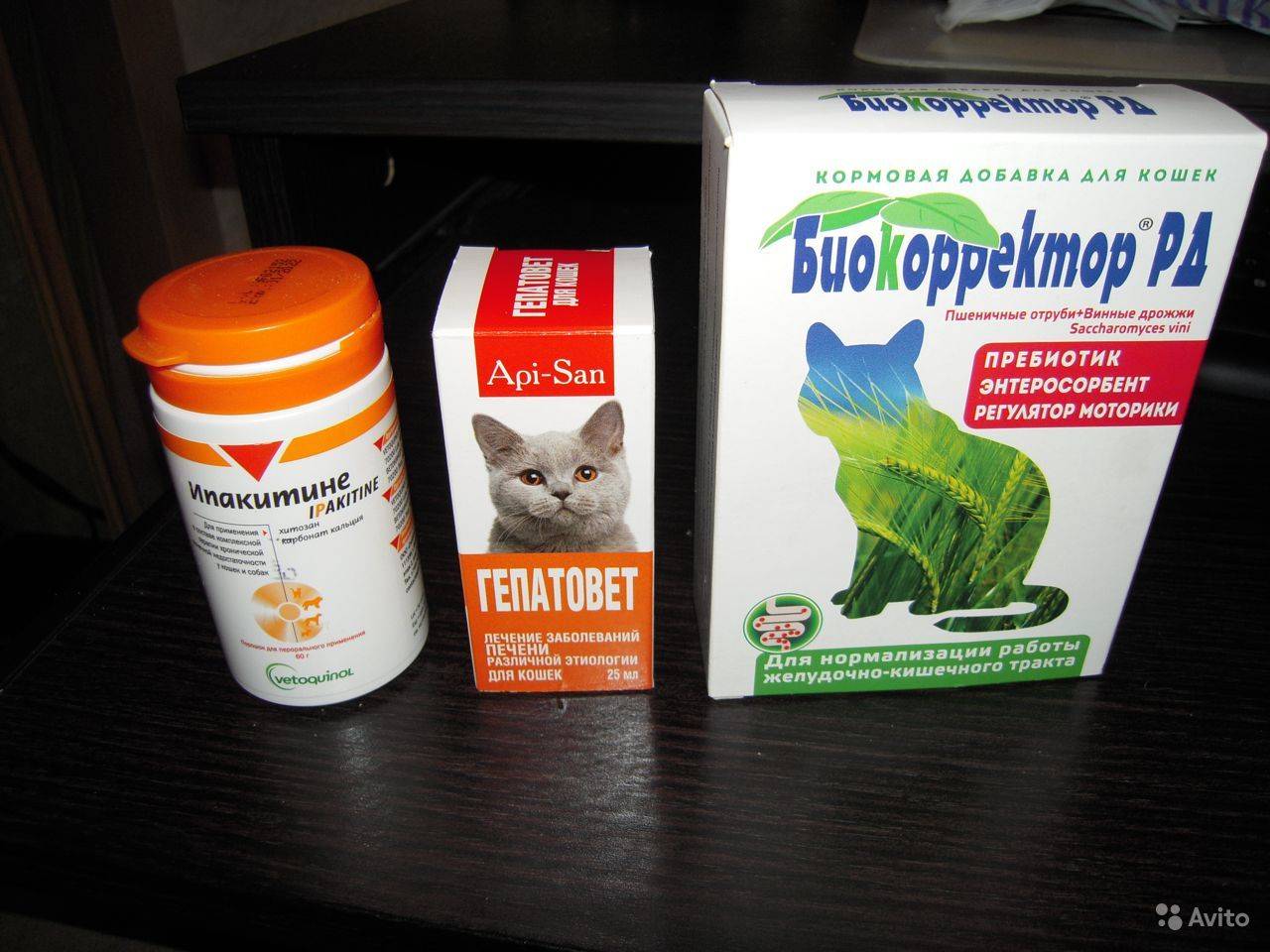 Печень можно кошке. Кошачьи лекарства. Препараты для кошек. Аллергия на кошек препараты. Таблетки для печени котятам.