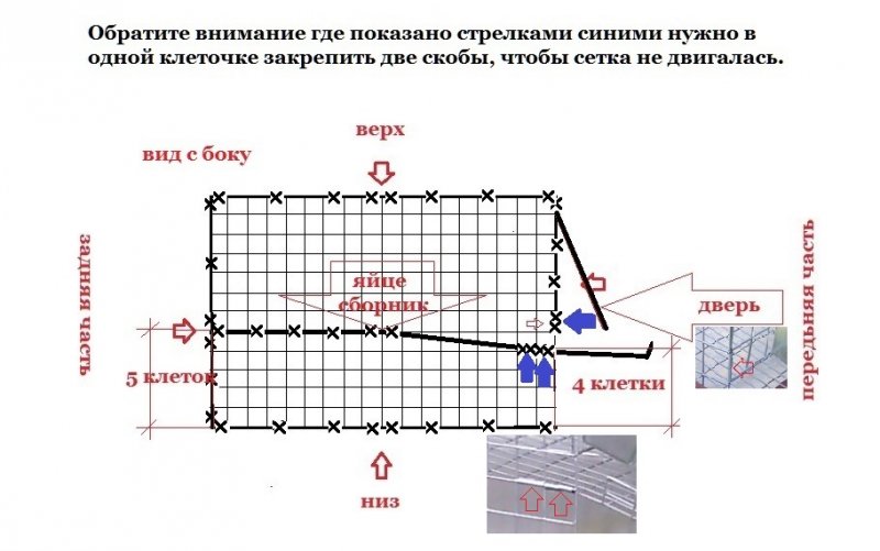 Размеры клетки для бройлеров на 30 голов чертеж