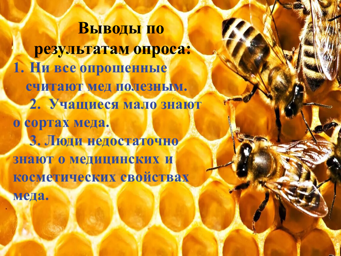 Какие живет а 4. Вывод о пчелах. Презентация на тему пчелы. Проект на тему Пчеловодство. Проект про пчел.