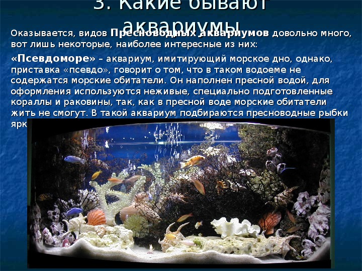 Какие организмы живут в аквариуме биология 5. Аквариумные рыбки проект. Презентация на тему аквариум. Обитатели аквариума. Аквариум для презентации.