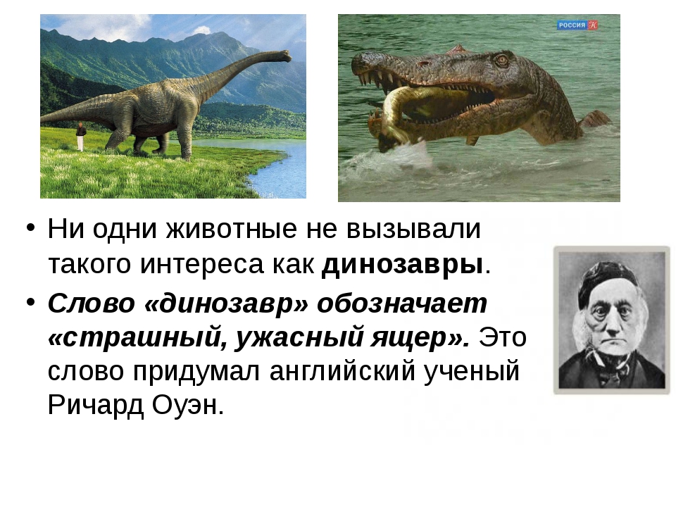 Сообщение о динозаврах 1. Сообщение о динозаврах. Доклад про динозавров. Проектная работа про динозавров. Текст про динозавров.