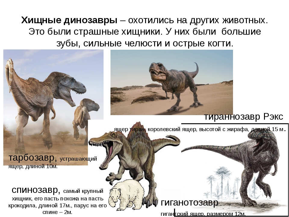 Опиши динозавра. Хищные динозавры и их названия. Динозавры хищники названия с картинками. Описание динозавров. Плотоядные динозавры и их названия.