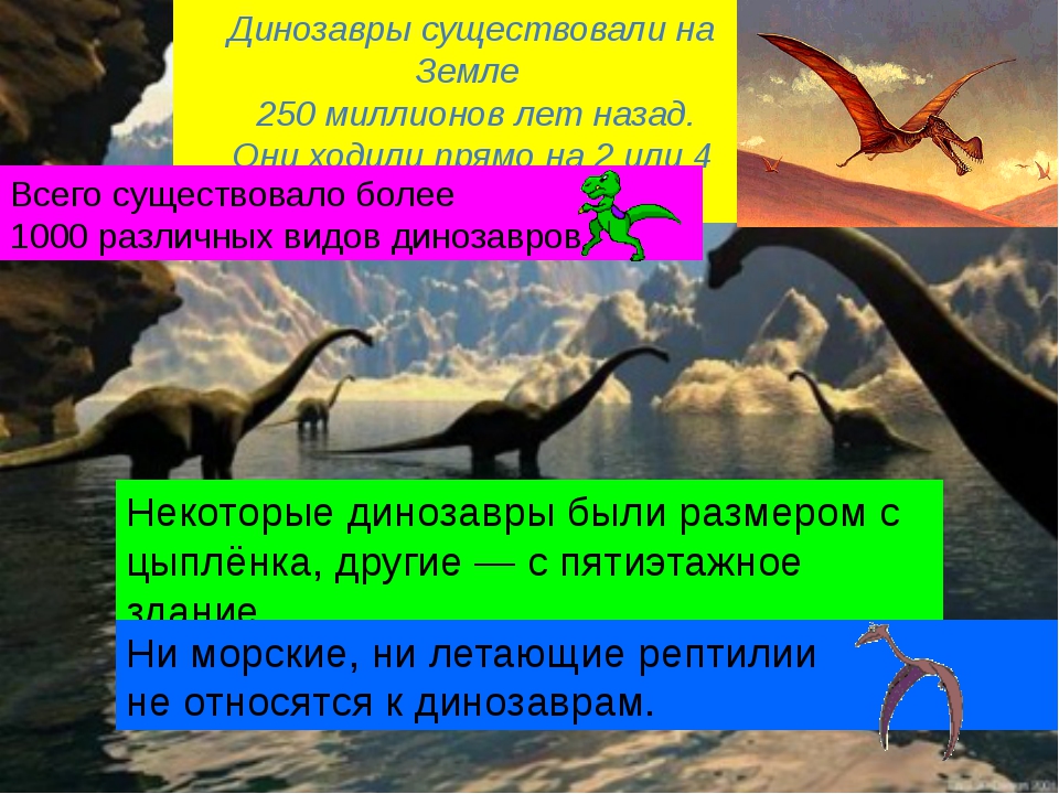 Отметь на схеме промежуток времени в течение которого земле обитали динозавры