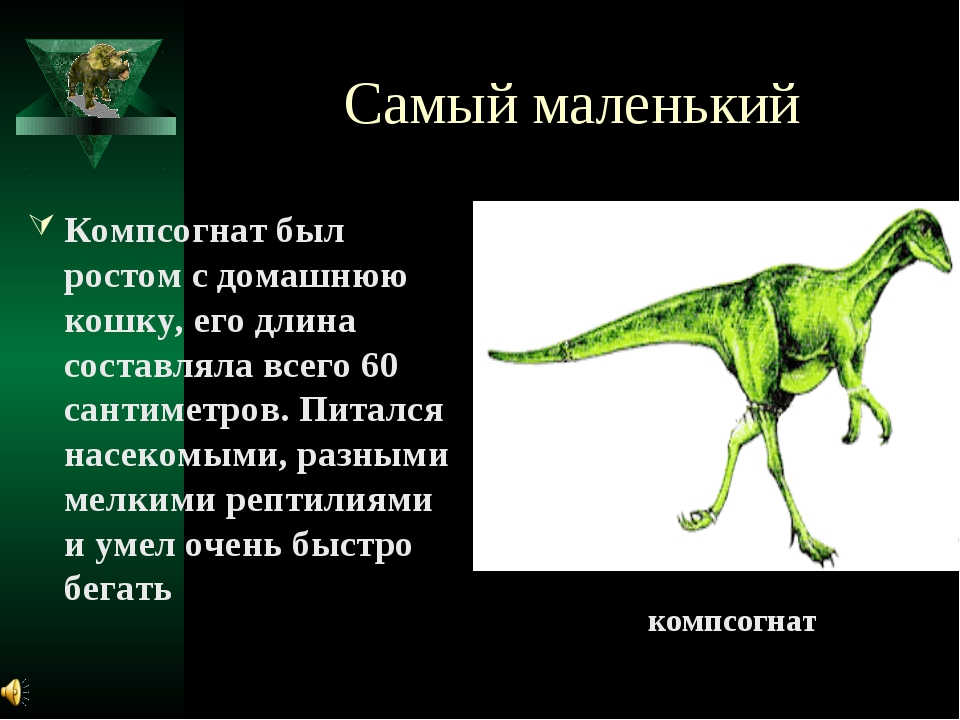 7 динозавров. Компсогнат динозавр описание. Рассказ о динозавре 5 класс по биологии. Компсогнат динозавр рассказ. Доклад про динозавров 5 класс по биологии с картинками.