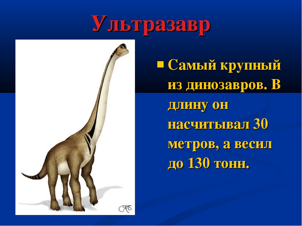 Когда жили динозавры 1 класс рабочий лист. Динозавры презентация. Проект про динозавров. Окружающий мир динозавры. Динозавры информация для детей.