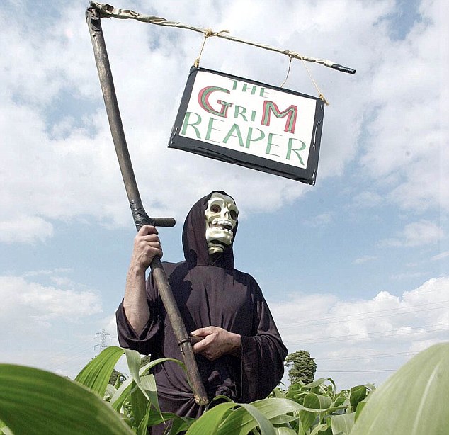 Public concerns: A GM food protestor dressed as the grim reaper in a field of GM maize crops in Over Compton near Sherborne, Dorset