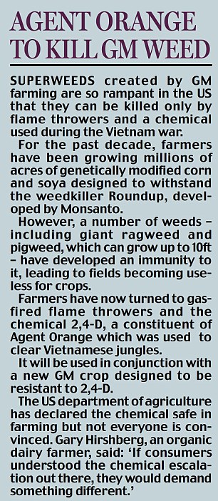 Agent orange to kill GM weed
