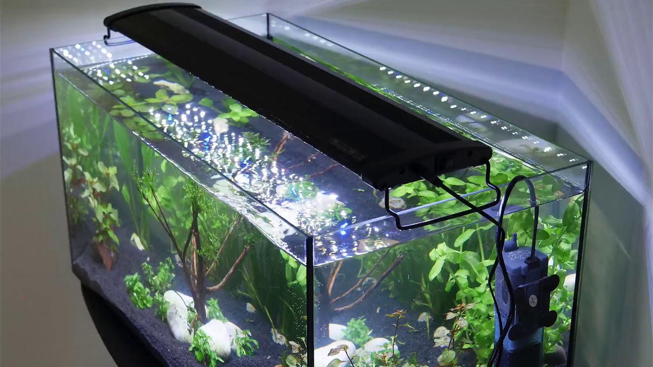 Светодиодный аквариум. Smart Aquarium Light led gr. Светильник аквариума Aqua-Szut. Аквариум с сенсорным управлением. Умный светильник для аквариума.