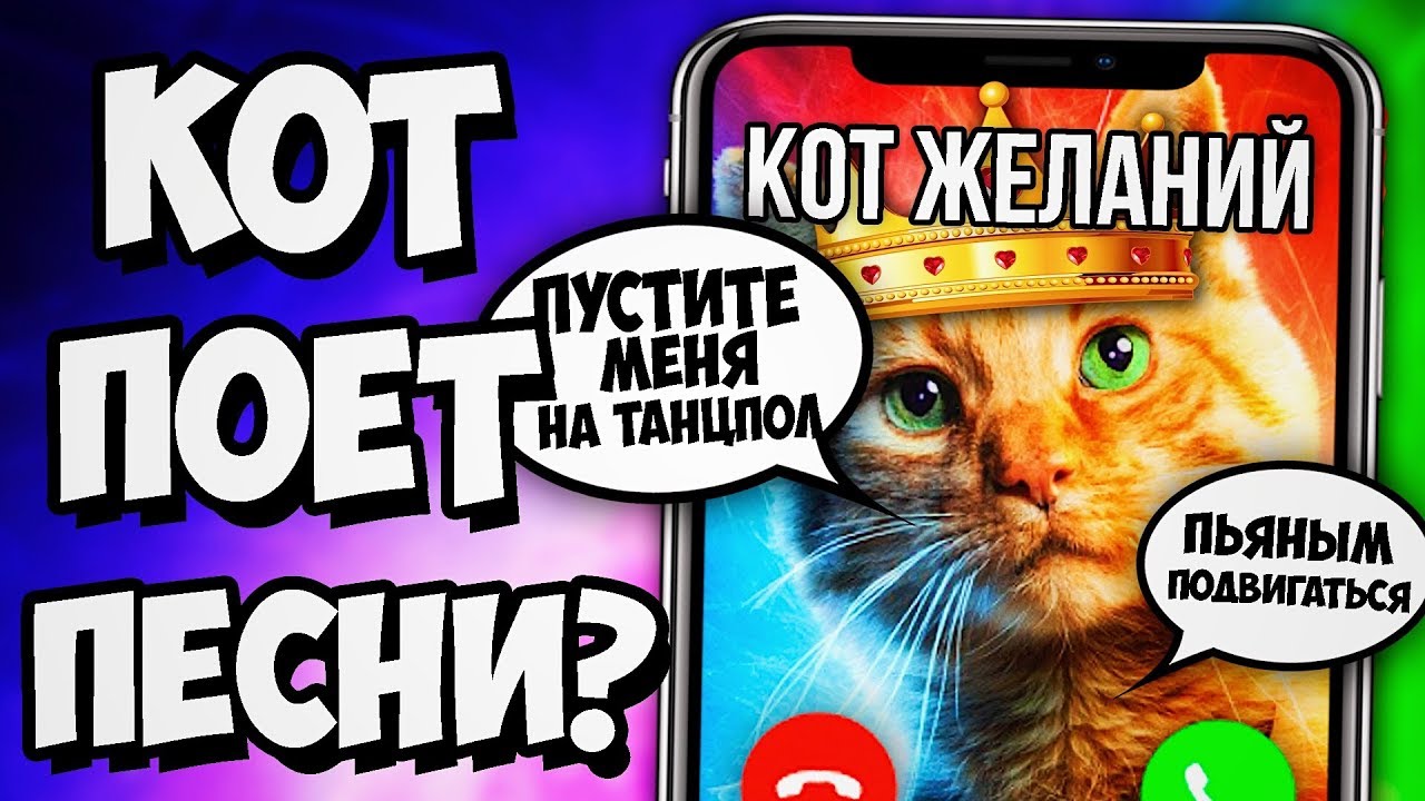 Кот желания. Как вызвать кота желаний. Вызов кота исполняющего желания. Кот вызывает. Как призвать кота желаний.