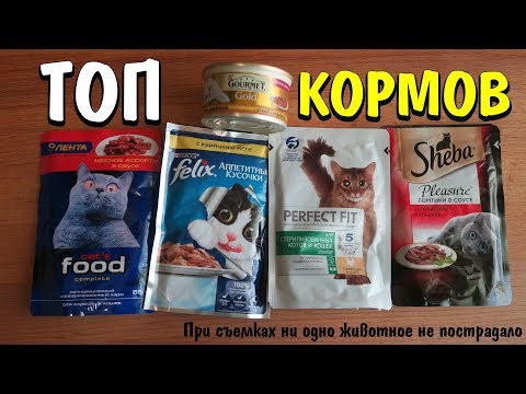 Какой влажный корм для кошек лучше СРАВНИВАЕМ Лента Sheba Perfect Fit Pro Plan Gourmet