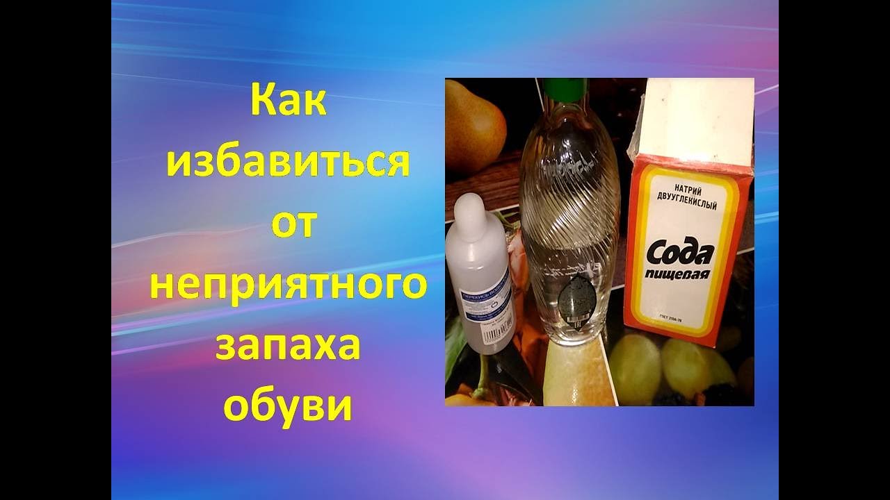 Кот пометил обои как избавиться от запаха