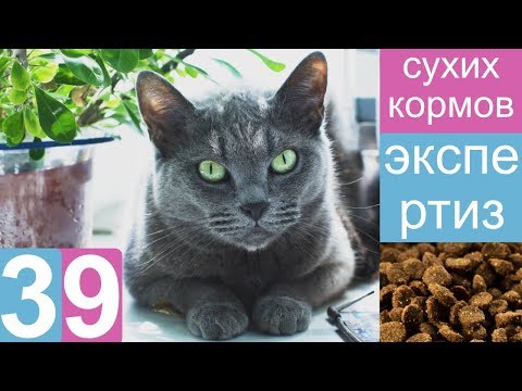 Экспертиза 39 сухих кормов - состав, качество и безопасность