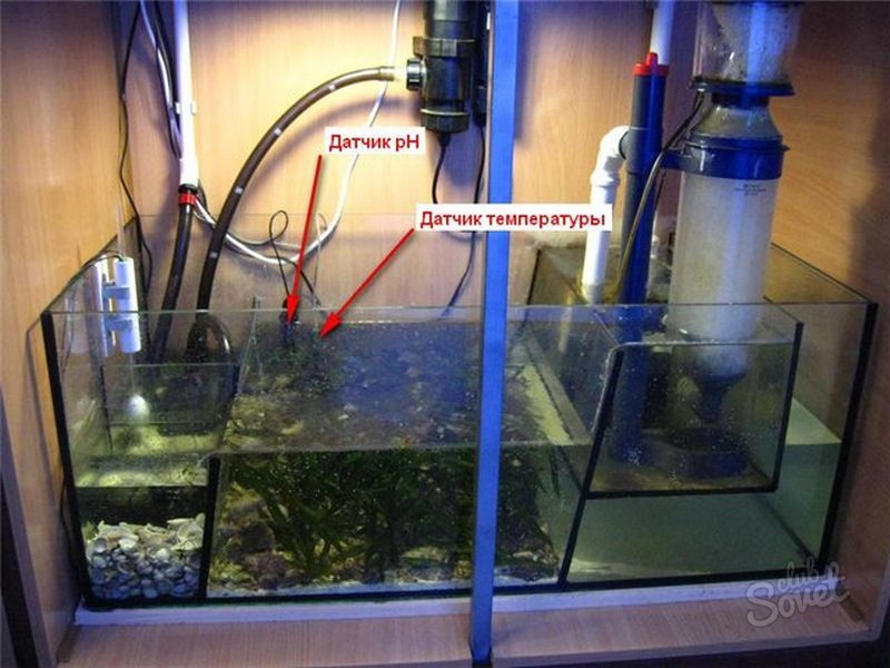 Аквариум подмена воды сколько. Самп фильтр для аквариума. Вода в аквариуме. Самп для аквариума. Циркуляция воды в аквариуме.