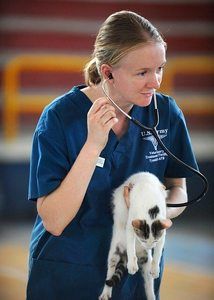 image of a veterinarian examining a cat