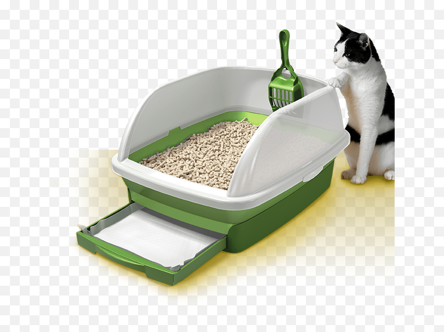 Туалет чистый котик. Наполнитель для кошачьего туалета Cat Litter. Туалет-лоток для кошек moderna "Comfy Step", 57x42x25 см. Лоток для меинкуна.