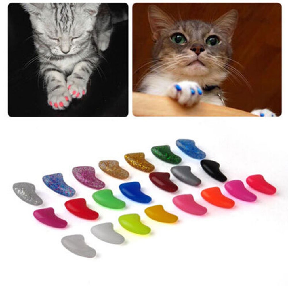 Резиновая рука для кота. Наклейки на когти для кошек. На когти кошке колпачки силиконовые. Кот на ногтях. Царапки для кошек.