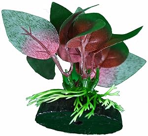 The 11 Best Silk Aquarium Plants