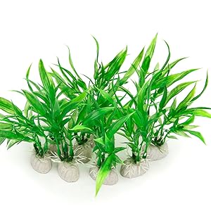 Aquarium Plants Artificial vs. Real: Which Is Better?