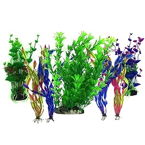 Aquarium Plants Artificial vs. Real: Which Is Better?