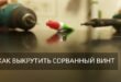 Как выкрутить сорванный винт?