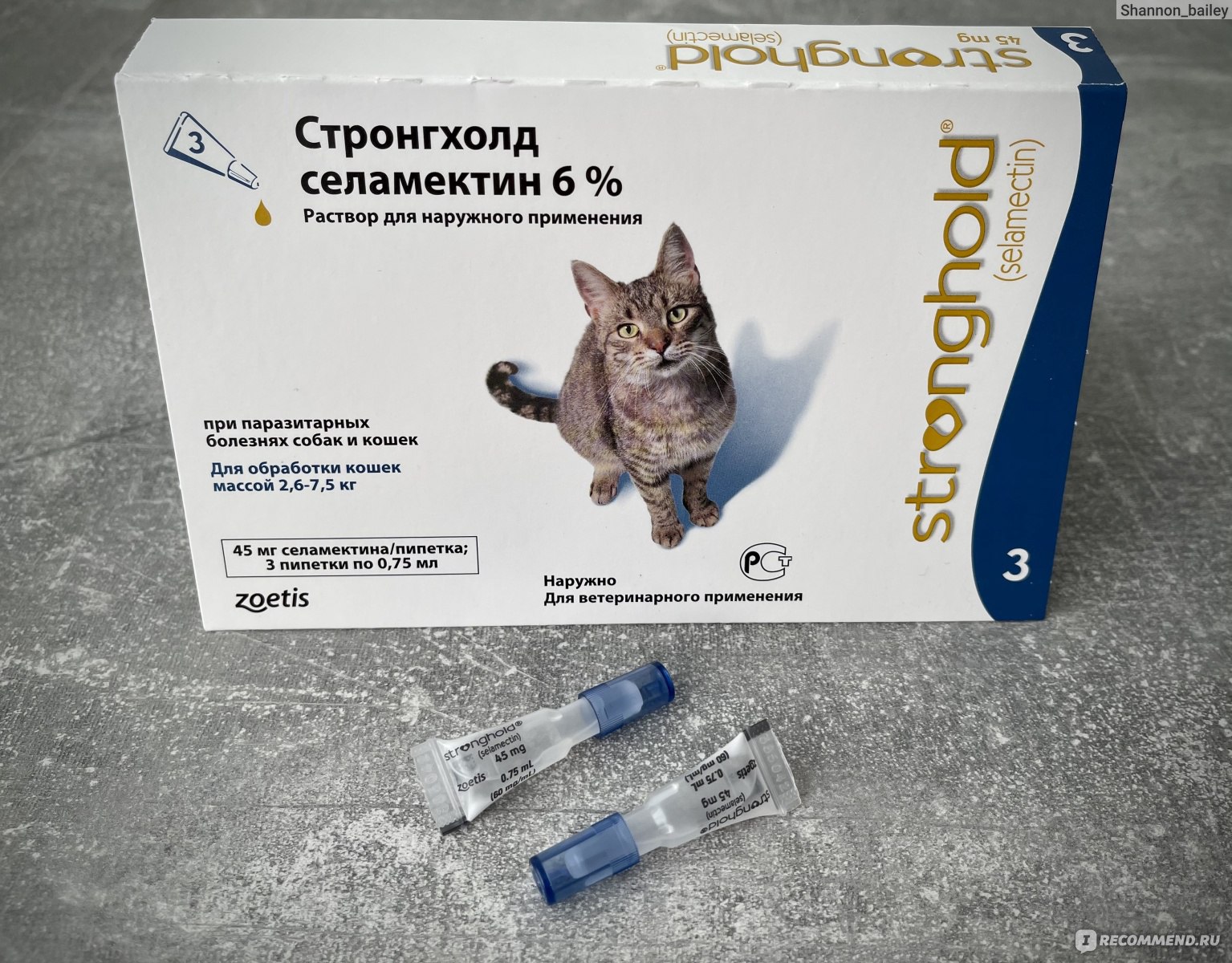 Стронгхолд для кошек. Стронгхолд селамектин 6%. Стронгхолд для котят 6 процентов. Селамектин для кошек. Стронгхолд селамектин 6 для кошек.