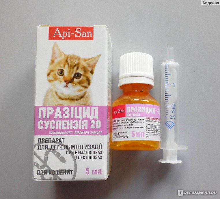 За сколько глистогонить кошку перед прививкой