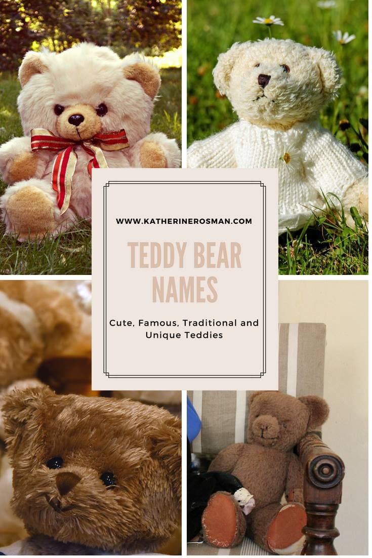 teddy bear names
