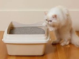 Антигадин и его действие