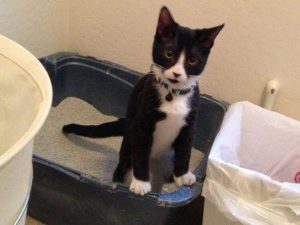 Отказ от лотка