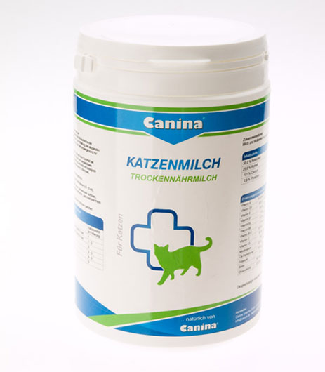 Cat Milk Katzenmilch
