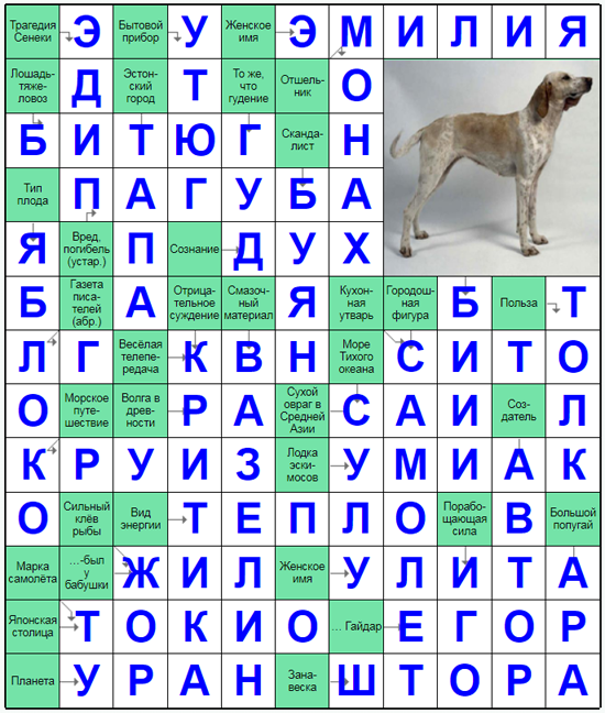 Порода собак кроссворд 6. Кроссворд породы собак. Скандинавский сканворд. Финские сканворды. Редкая порода собак сканворд.