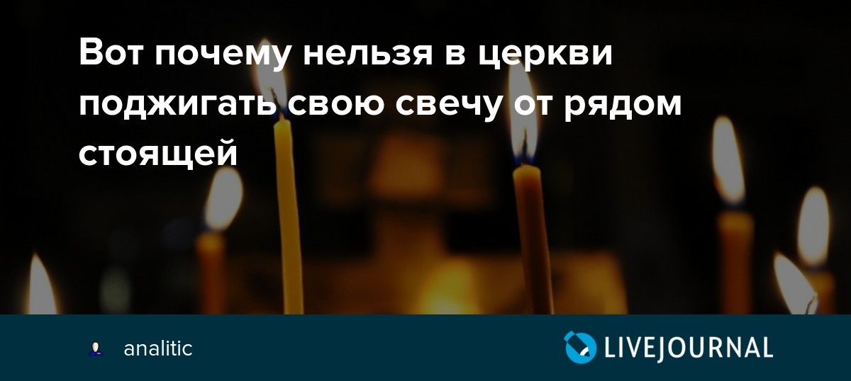 Собака в храме. Собака в дали. Почему собакам нельзя в храм. Монах с собакой. Животные в монастыре.