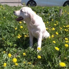 Крис и Наташа