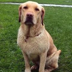 Таня и Джесси