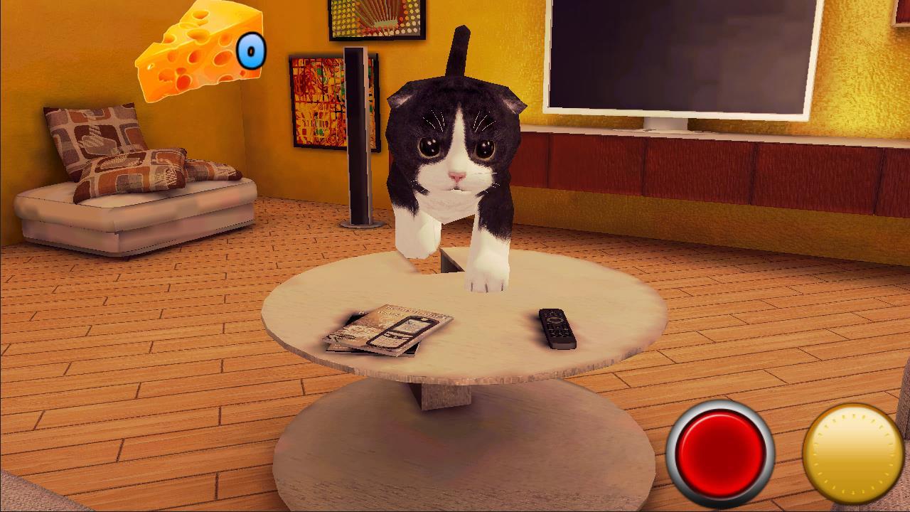Kitten игра. Кошачьи игры. Видеоигры для кошек. Включи видео кота игра. Игры для кошек.