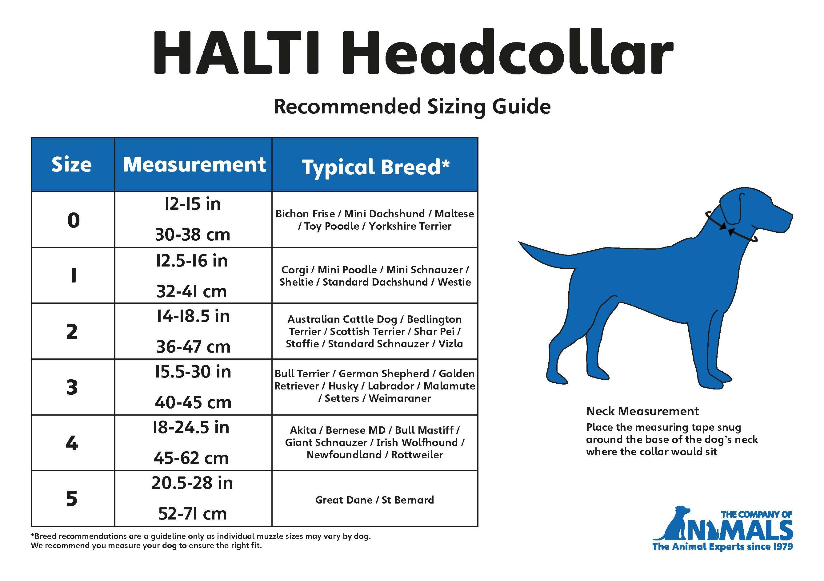 Таблица собак. Таблица размеров халти для собак. Недоуздок для собак таблица размеров. Размер халти для немецкой овчарки. Таблица размеров Halti Headcollar.