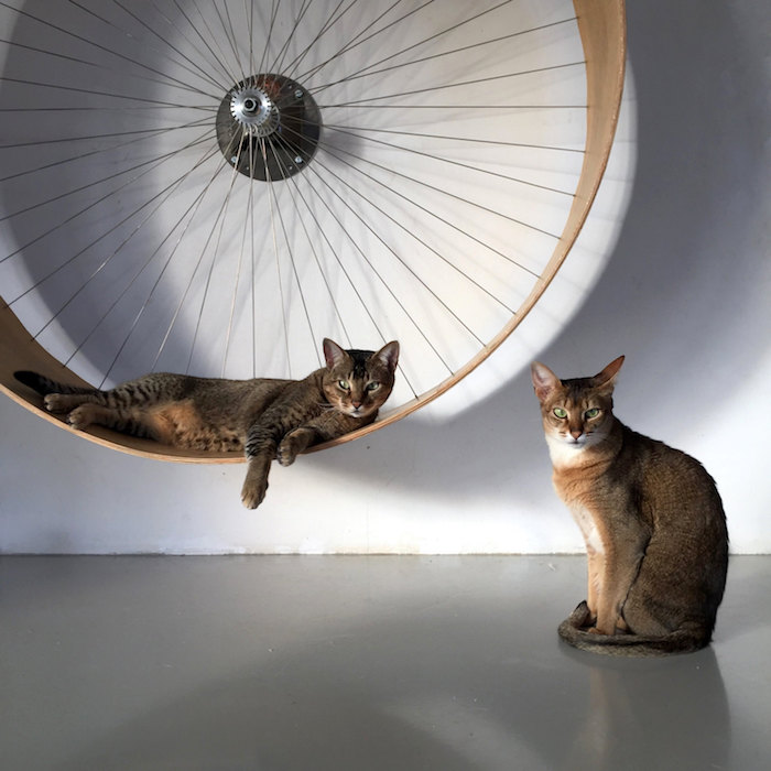 30 Домиков для кошек, которые можно сделать самостоятельно