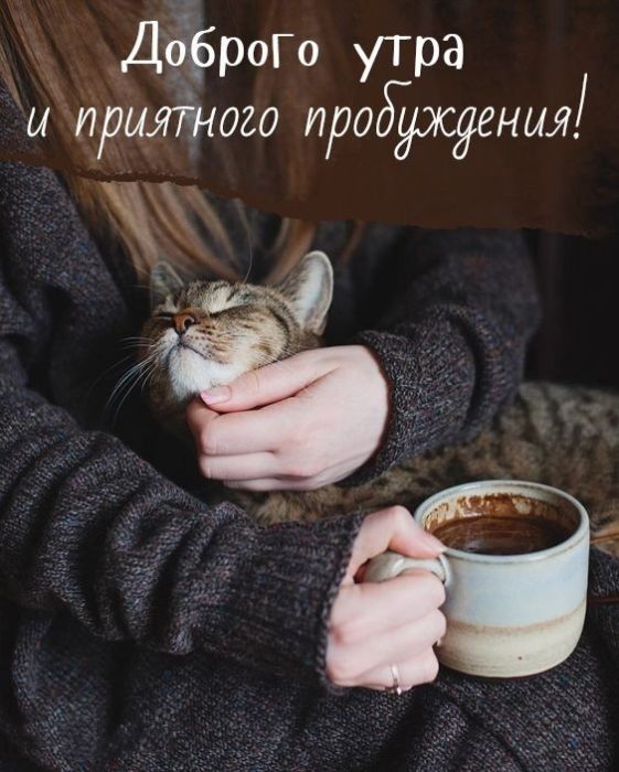 Доброе утро хорошего дня