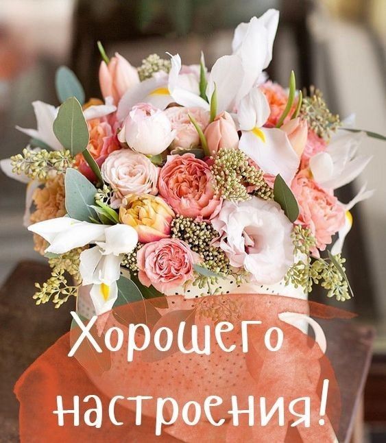 Доброе утро хорошего дня