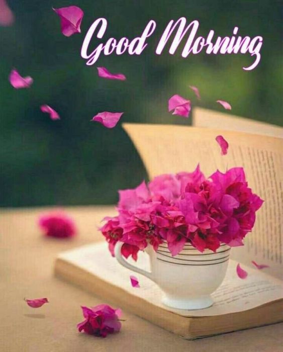 Доброе утро хорошего дня