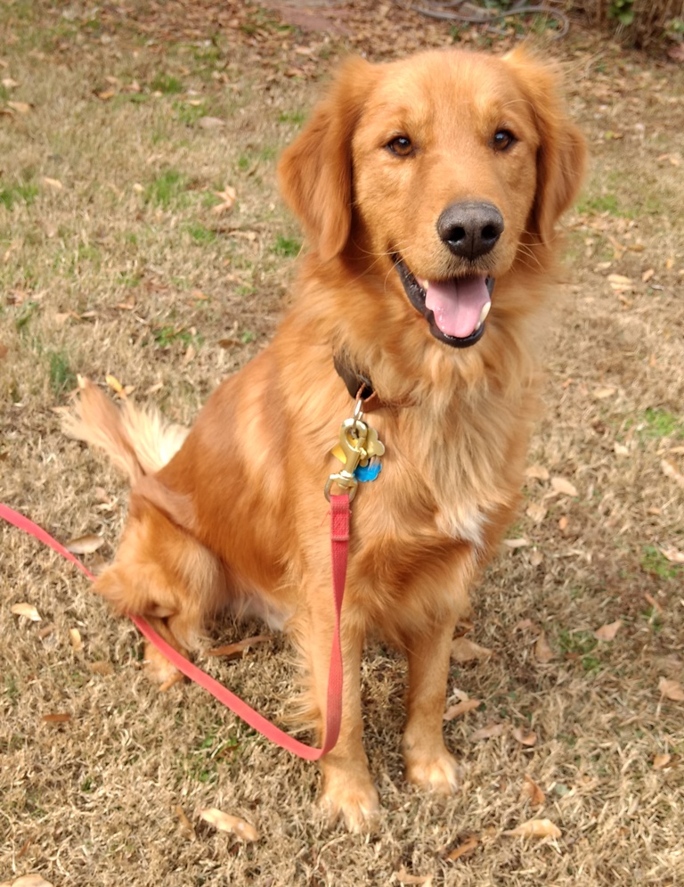 Уход за шерстью