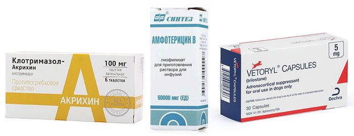 Амфотерицин, Клотримазол, Трилостан