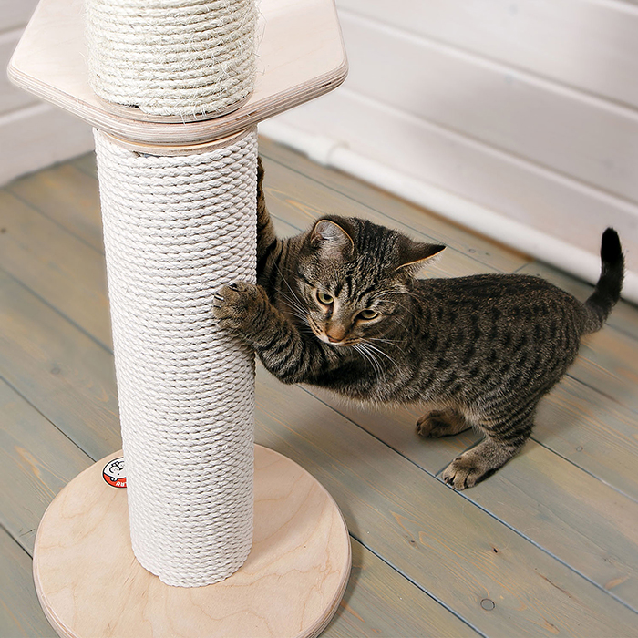 когтеточка для кошек в домашних условиях