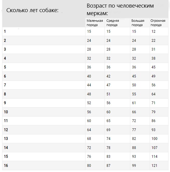 Сколько собаке по человеческим. 4 Года Возраст собаки по человеческим меркам таблица. Возраст собаки 7 года по человеческим меркам таблица. Возраст собаки 11 лет по человеческим меркам таблица. Таблица возраста собак по человеческим меркам мелких пород.