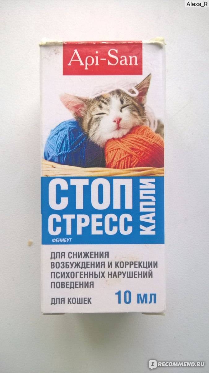 Успокоительные средства для кошек. Успокоительные таблетки для котов. Капли для кошек снотворное. Снотворные таблетки для кошек. Успокоительные капли для УОТВ.